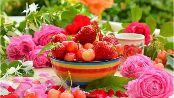 Белла роза цветы