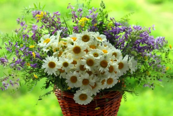 Пышные летние букет цветов