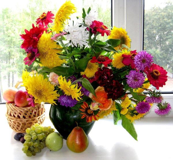 Осенние полевые цветы