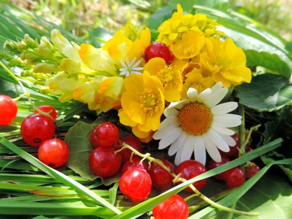 Летние цветы и ягоды