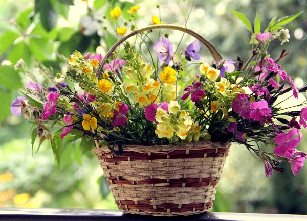 Красивый летний букет