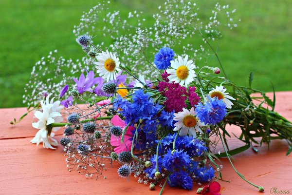 Букет полевые цветы