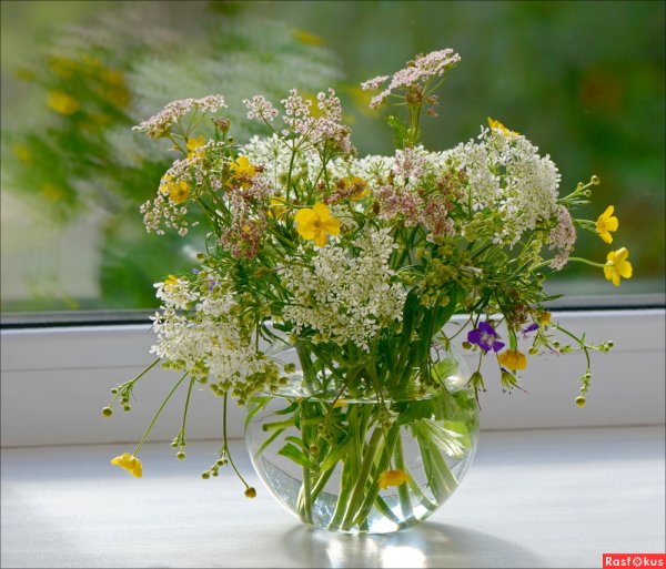 Полевой букет