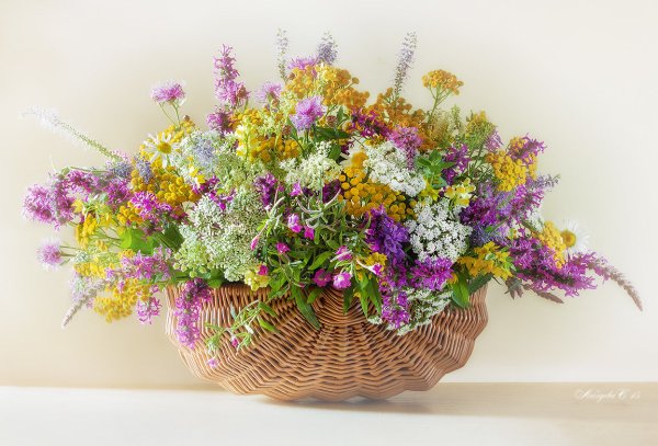 Букет вайлд Флауэр