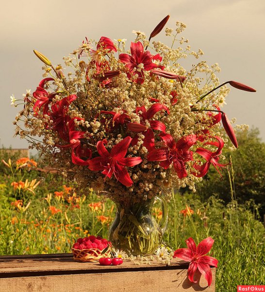 Красивые букеты с полевыми цветами