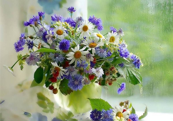 Доброе утро полевые цветы