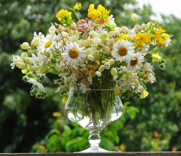 Летний букет