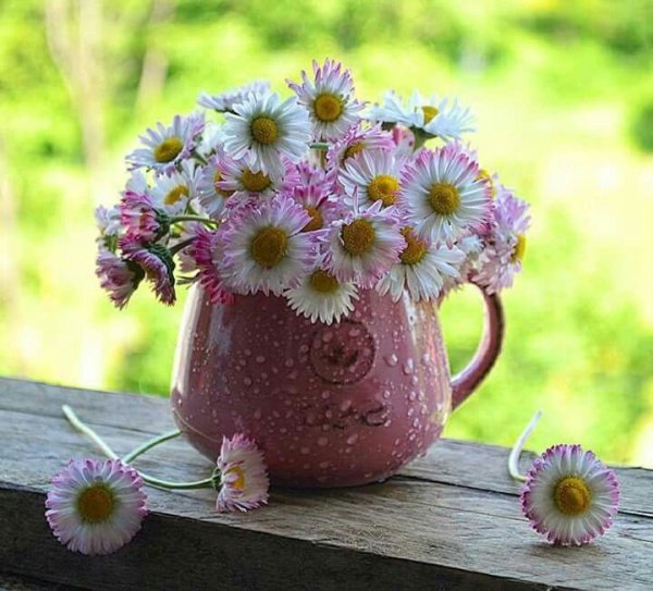 С добрым июльским утром