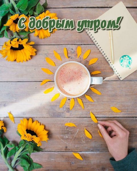Открытки с добрым утром c природой