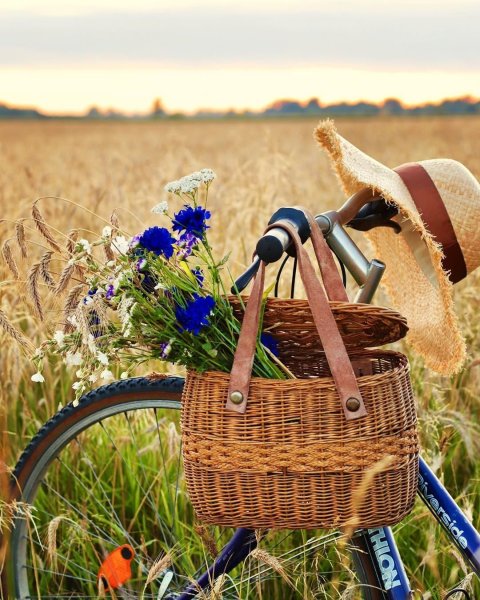 Доброе утро Божья коровка