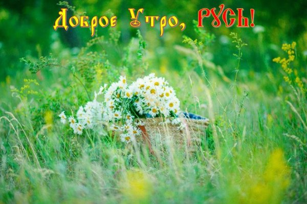 С добрым солнечнымутпом