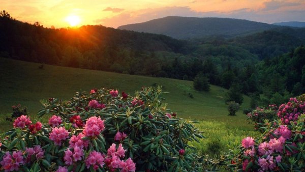 Парадиз остров Карибского моря