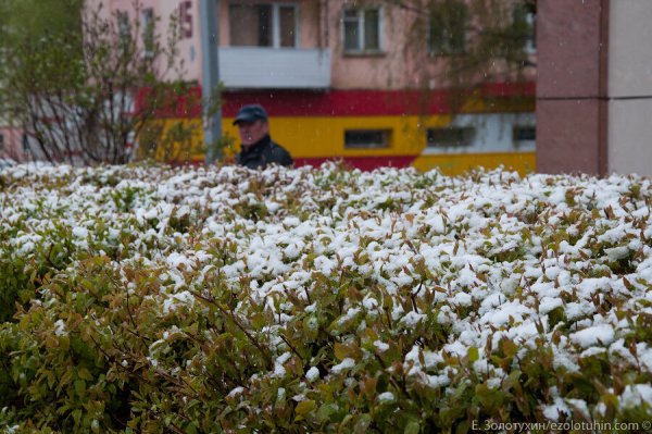 Летний снег