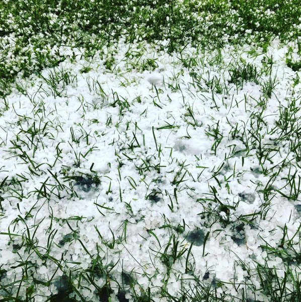 2 Июня 2017 в Москве выпал снег