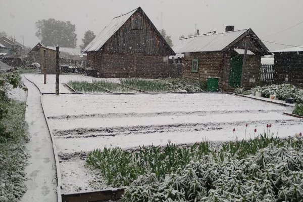 Снегопад в Томске