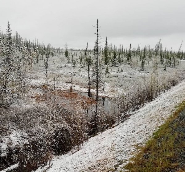 Ямальская тундра..первый снег
