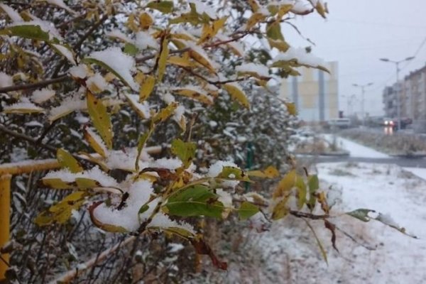 Магадан первый снег