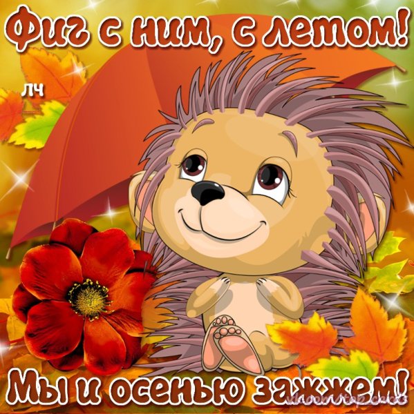 Открытки конец лета