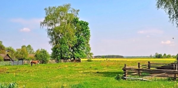 Русская деревня Околица