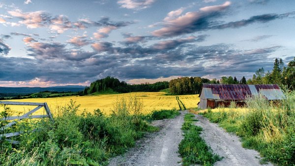Лето в деревне