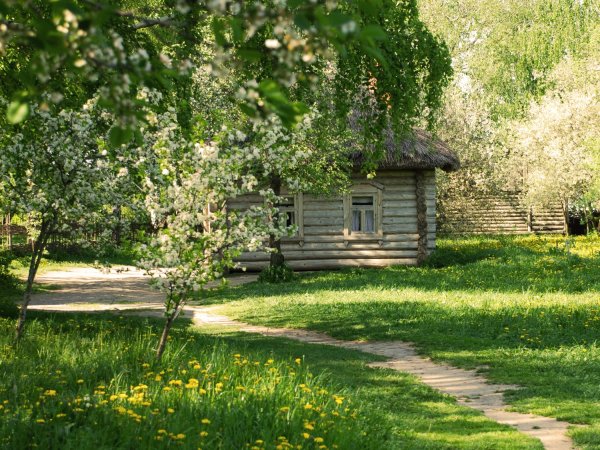 Деревня летом