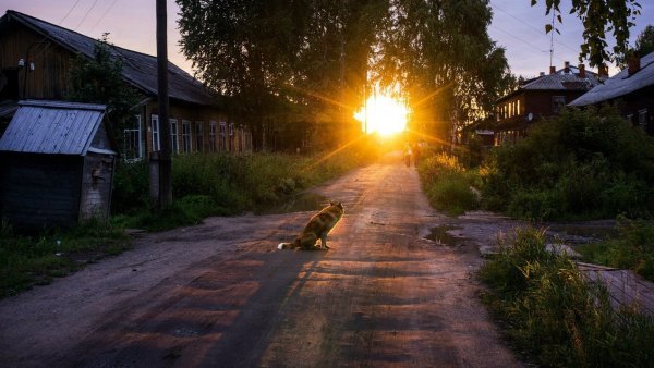 Летний вечер в деревне