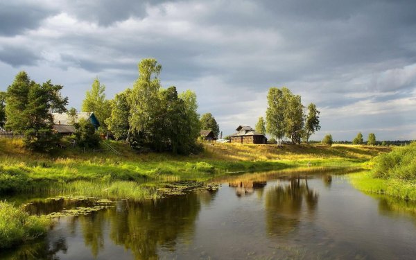 Летние цветы в деревне
