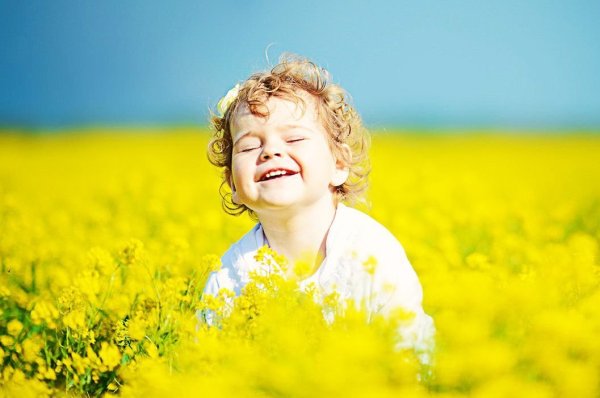 Маленькие радости жизни