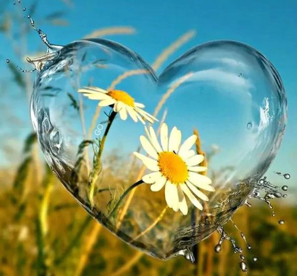 Лето море любовь