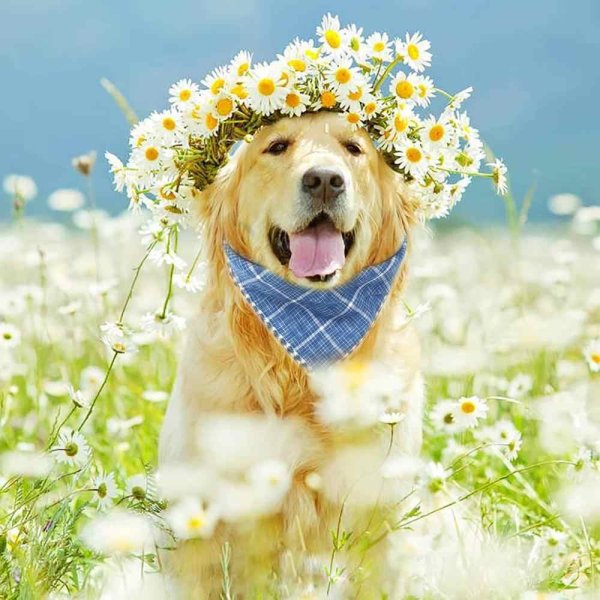 Море солнце счастье любовь