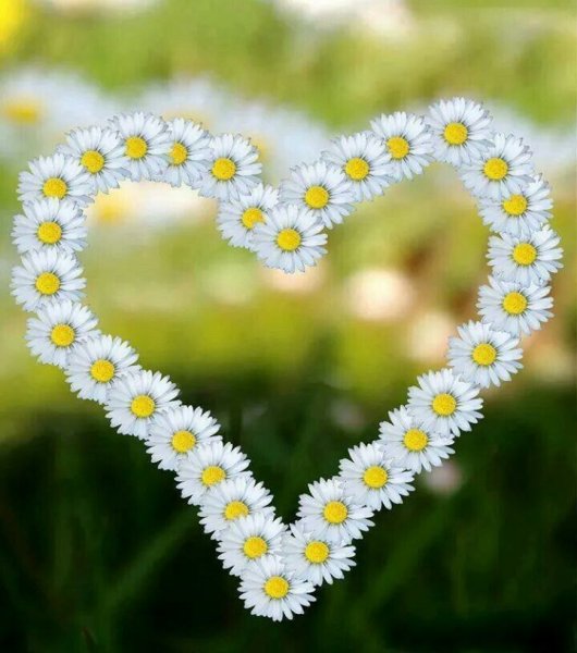 Влюбленная пара на море