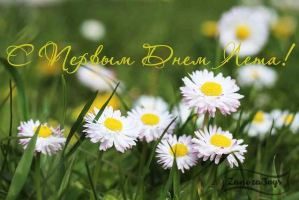 Поздравление с 1 днем лета