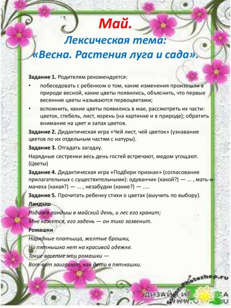 Лексическая тема недели лето