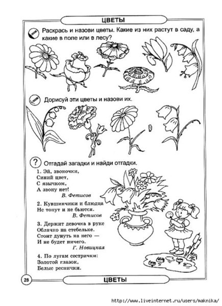 Лето занятие для дошкольников