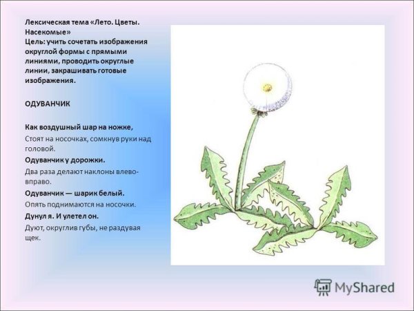 Задания для детей 3-4 лет на тему время года