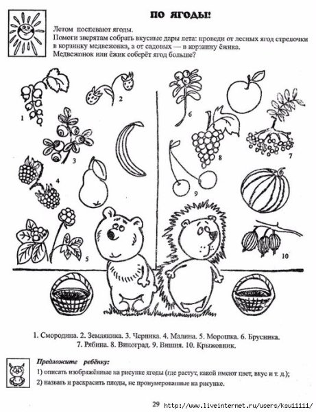 Весенние приметы для дошкольников