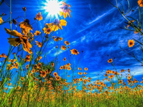 Лето в России