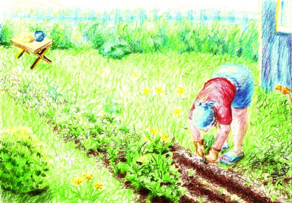 Летние каникулы рисунок