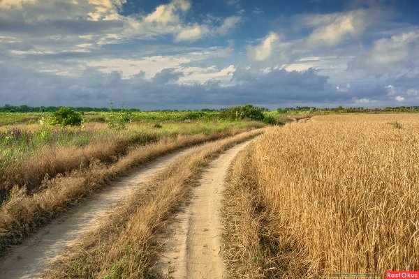 Пейзажи Кубани станица