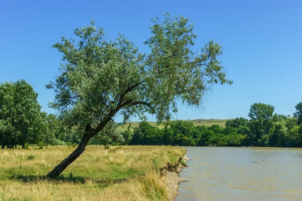 Краснодарский край родной