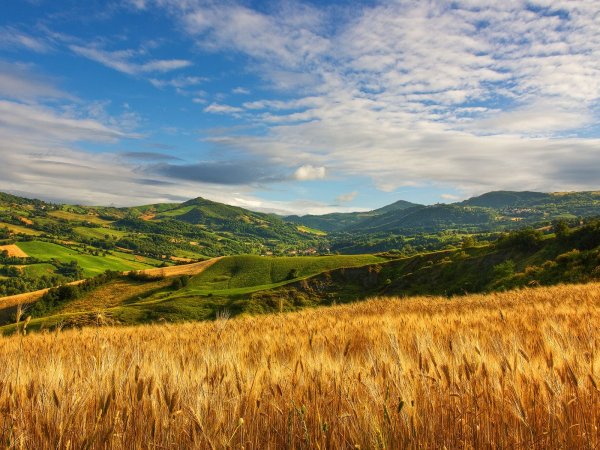 Кубань Краснодарский край