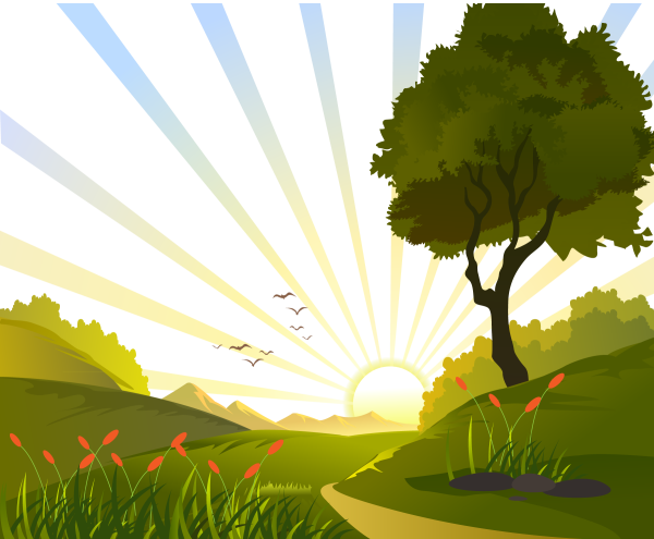 Пляж Графика