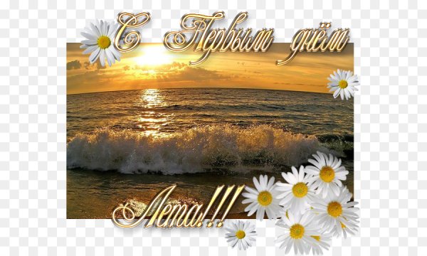 Позитив природа