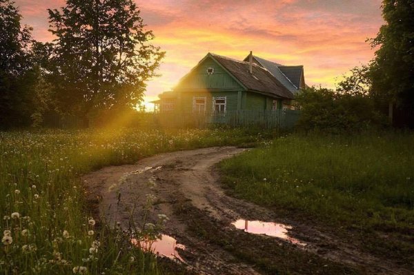 Деревня летом