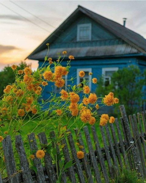 Эстетика деревни