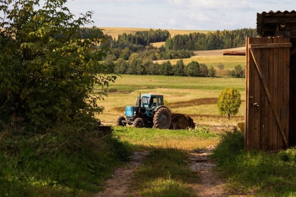Удмуртия деревня Кутоншур