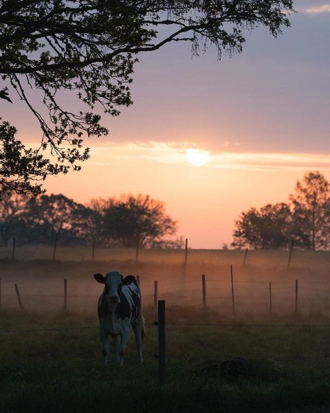 Лето в деревне Эстетика