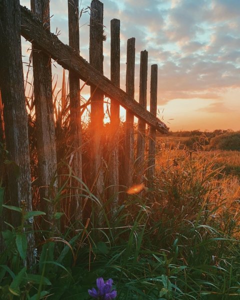 Эстетика деревни
