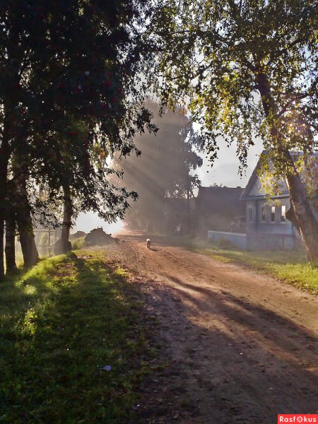 Солнечное лето в деревне