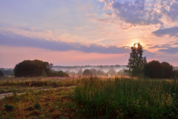 Висконсин деревни природа